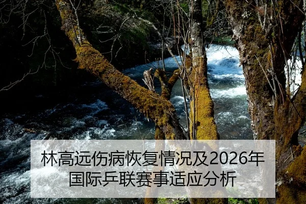 林高远伤病恢复情况及2026年国际乒联赛事适应分析