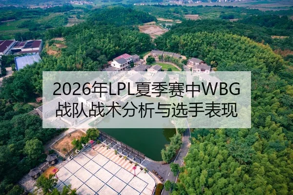 2026年LPL夏季赛中WBG战队战术分析与选手表现