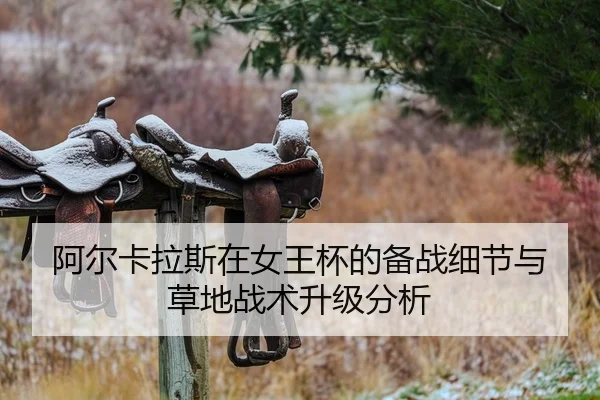 a-er-ka-la-si-zai-nv-wang-bei-de-bei-zhan-xi-jie-yu-cao-di-zhan-shu-sheng-ji-fen-xi-2-677.jpg