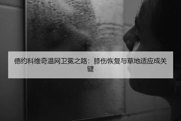 德约科维奇温网卫冕之路：膝伤恢复与草地适应成关键