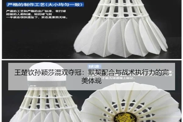 wang-chu-qin-sun-ying-sha-hun-shuang-duo-guan-mo-qi-pei-he-yu-zhan-shu-zhi-xing-li-de-wan-mei-ti-xian-2-235.jpg