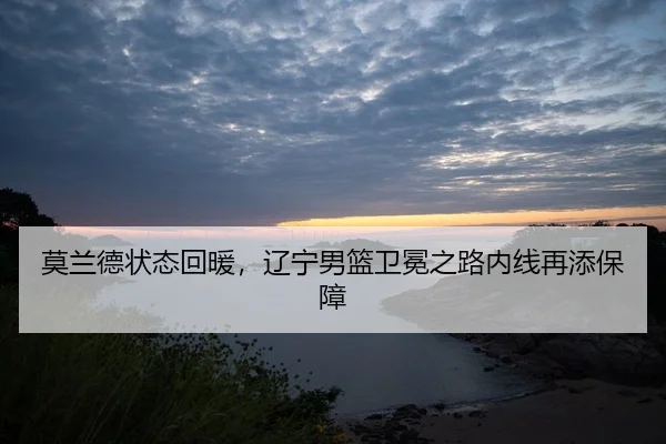 mo-lan-de-zhuang-tai-hui-nuan-liao-ning-nan-lan-wei-mian-zhi-lu-nei-xian-zai-tian-bao-zhang-2-258.jpg