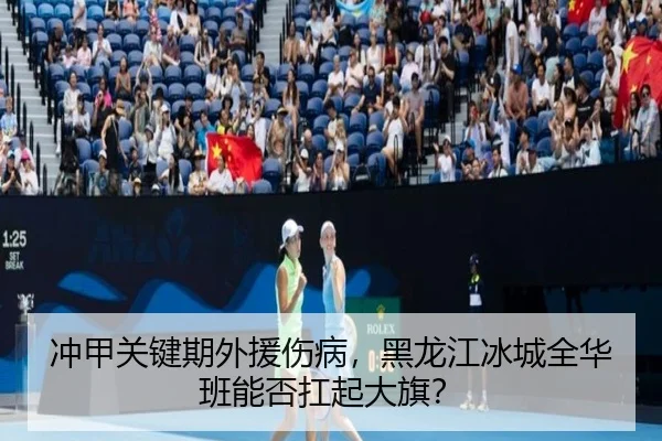 chong-jia-guan-jian-qi-wai-yuan-shang-bing-hei-long-jiang-bing-cheng-quan-hua-ban-neng-fou-kang-qi-da-qi-2-509.jpg