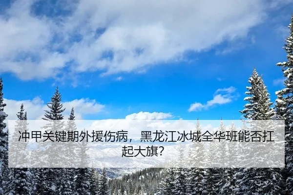 chong-jia-guan-jian-qi-wai-yuan-shang-bing-hei-long-jiang-bing-cheng-quan-hua-ban-neng-fou-kang-qi-da-qi-3-113.jpg